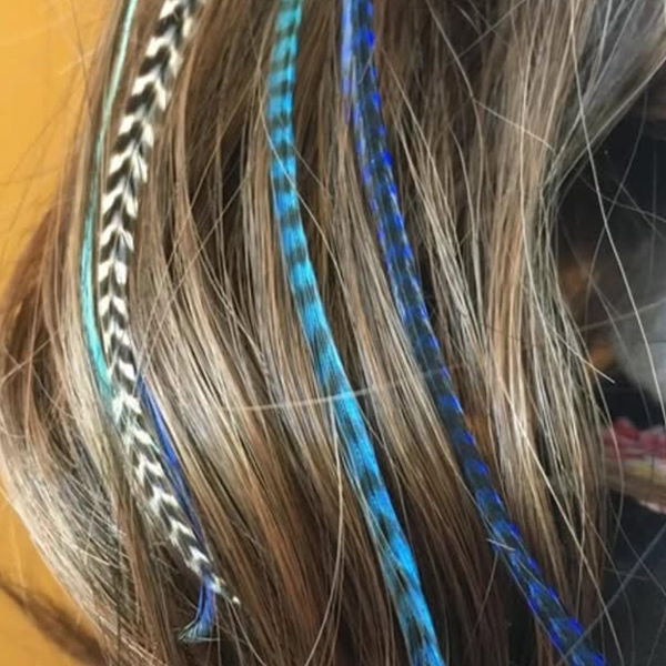 Extensions de cheveux plume